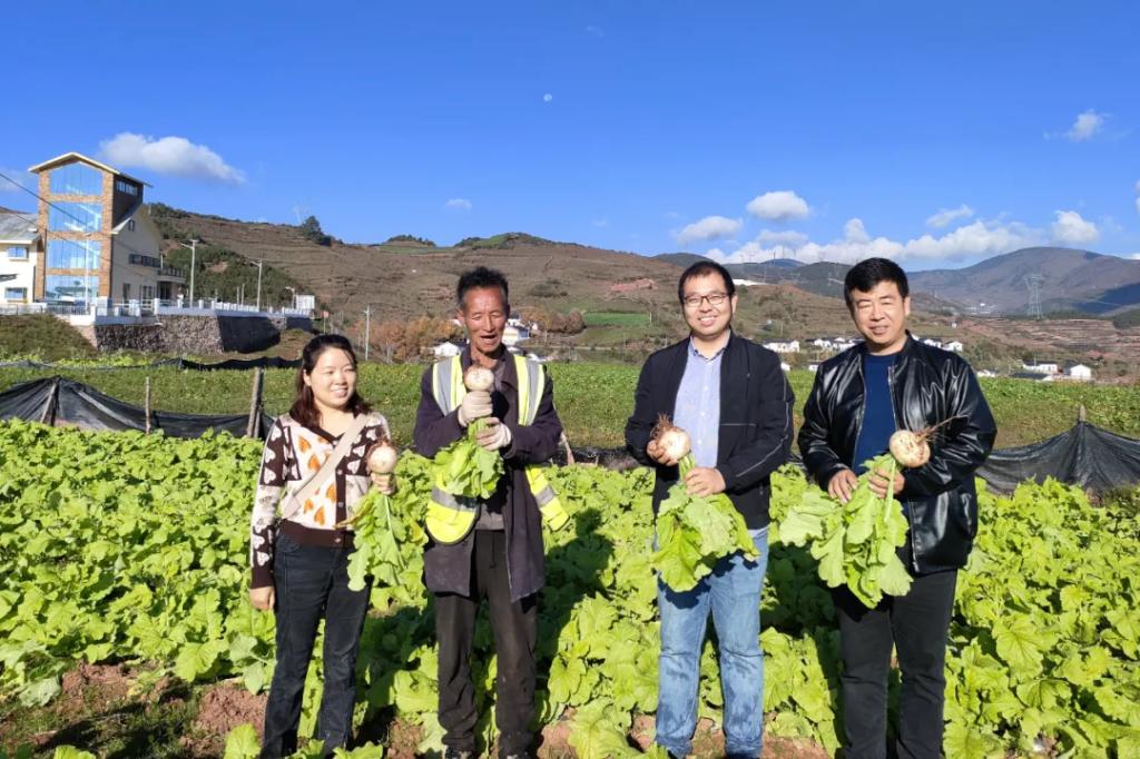 昭觉帮扶20年·工业篇丨点燃“山峰之巅”的幸；；；鹬-6686体育