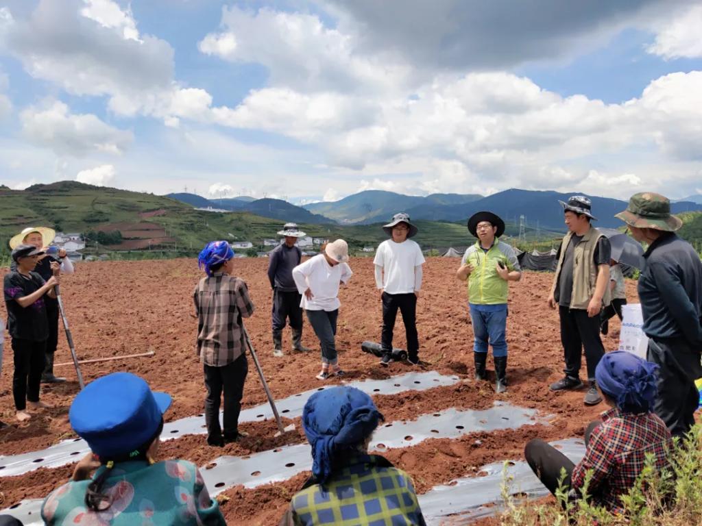 昭觉帮扶20年·工业篇丨点燃“山峰之巅”的幸；；；鹬-6686体育