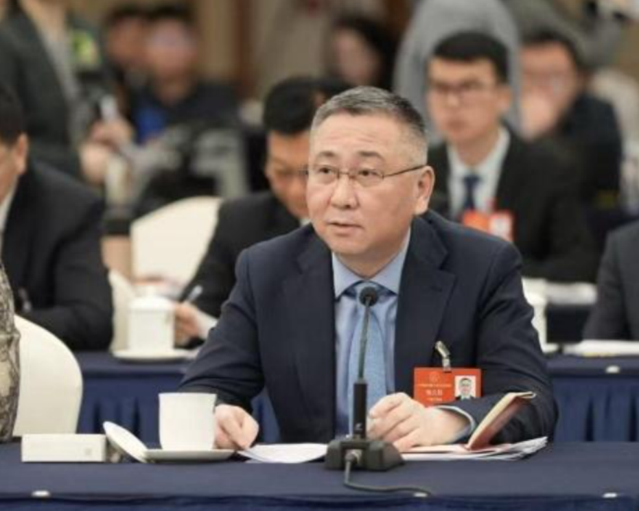 [国资小新]两会国企新声｜推进区域协调生长 扩大高水平对外开放-6686体育