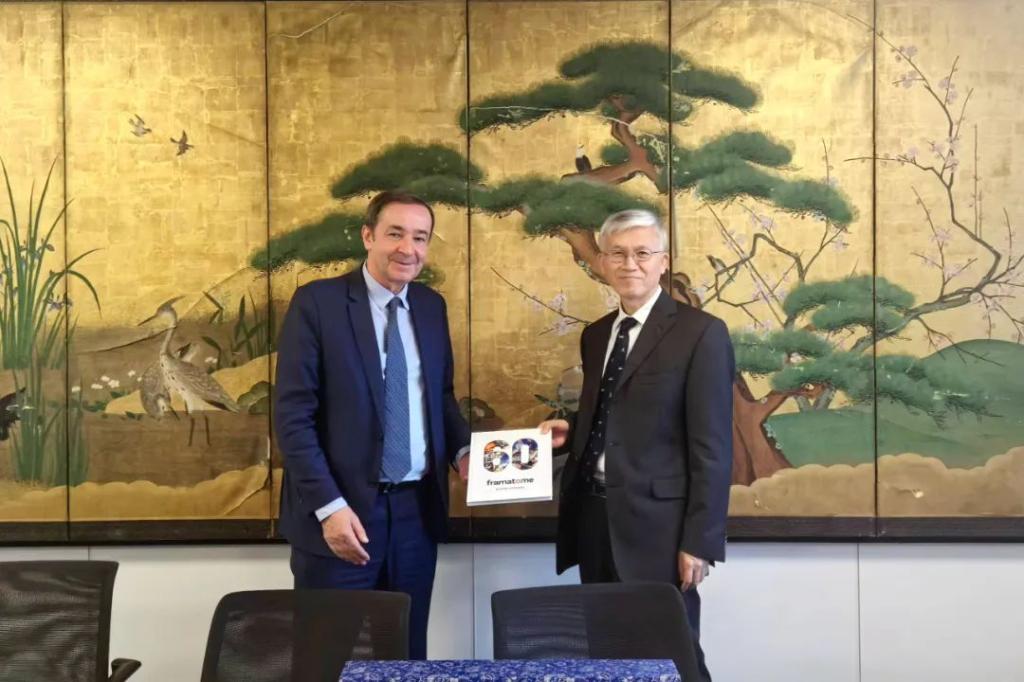张彦军率团会见法国、德国推动核电及新能源国际科技相助-6686体育