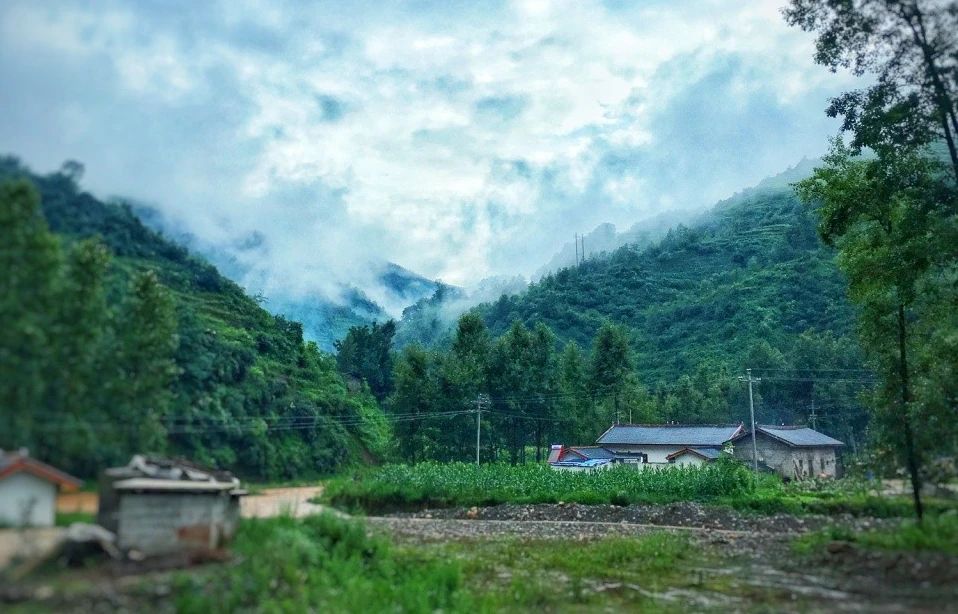 执“6686体育”帮扶之笔 绘墟落振兴新景-6686体育