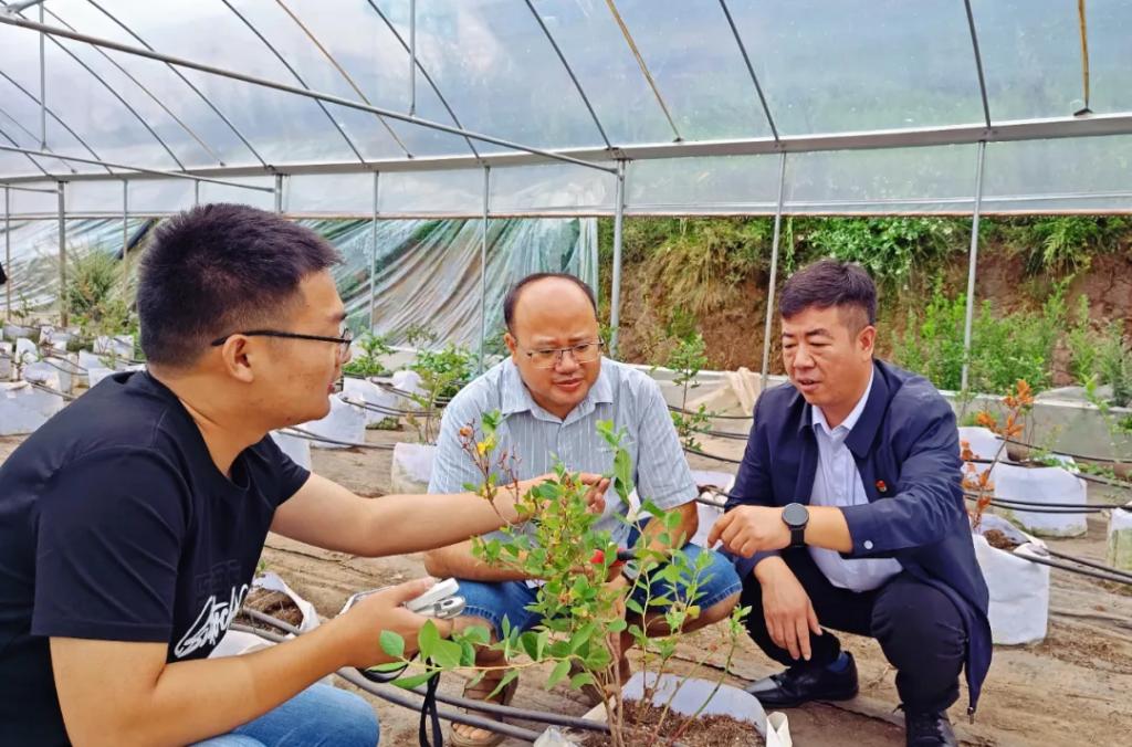 昭觉帮扶20年·工业篇丨点燃“山峰之巅”的幸；；；鹬-6686体育