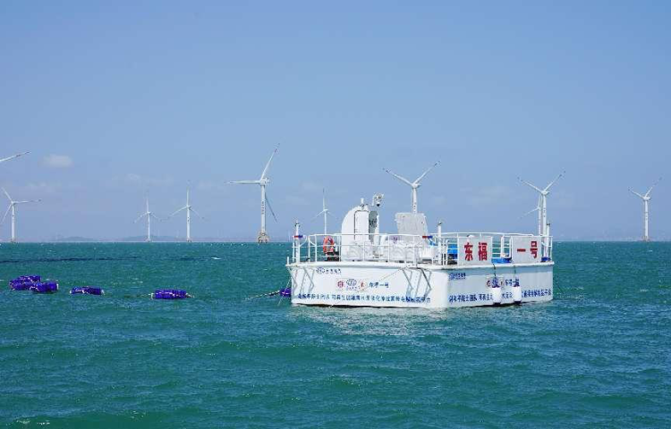 [中国能源网]全球首个海优势电无淡化海水直接电解制氢在福建海试乐成-6686体育