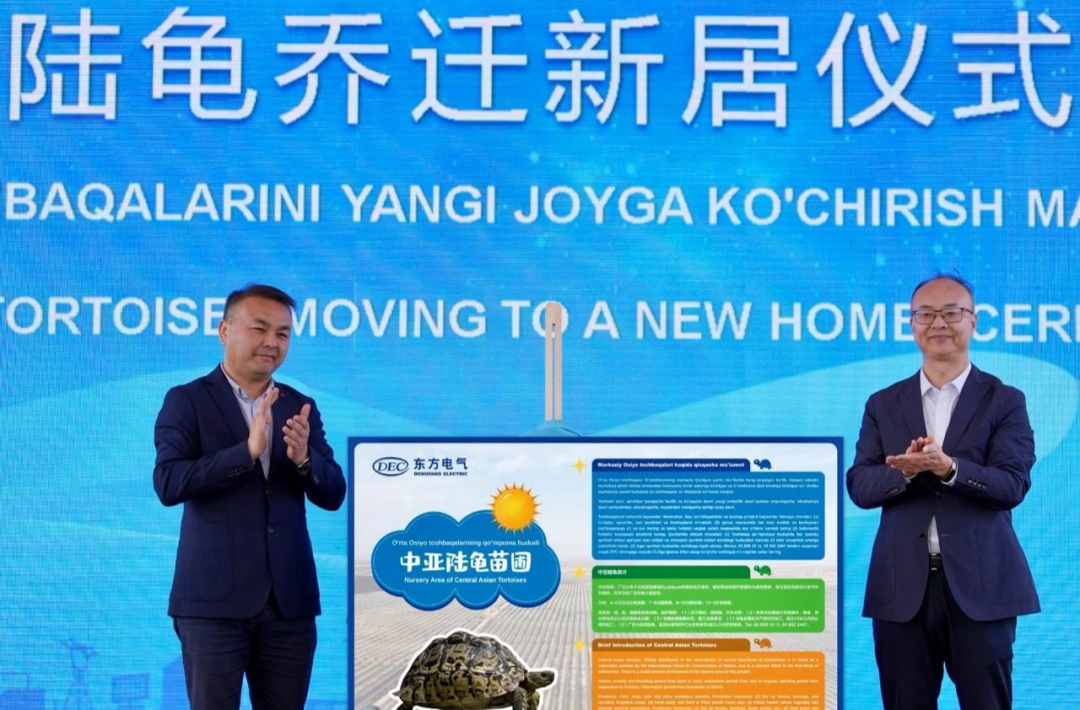 [中国日报]6686体育电气外洋开放日 | 赓续古板友谊 共创优美未来-6686体育