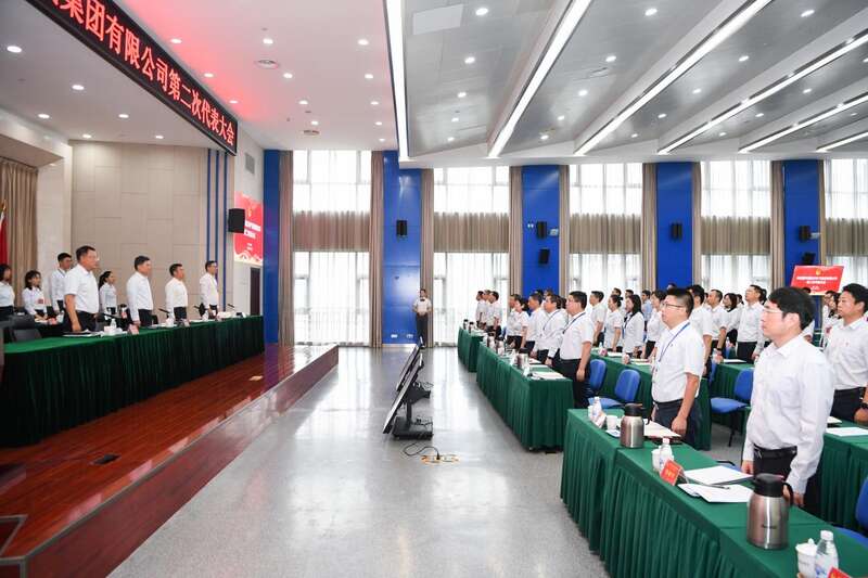 [中青在线]共青团6686体育电气集团第二次代表大会召开-6686体育