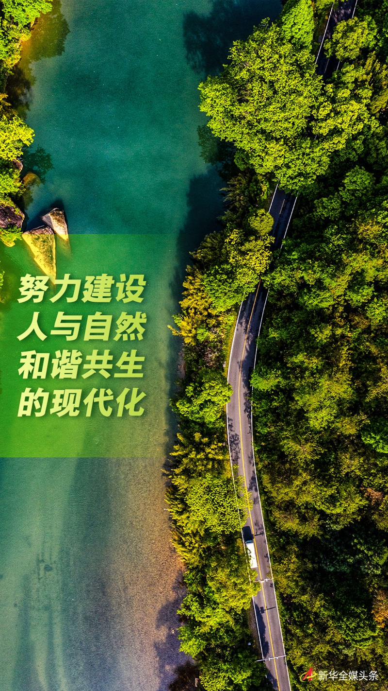 “起劲建设人与自然协调共生的现代化”——习近一生态文明头脑的生动实践-6686体育