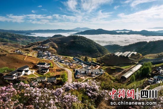 [中国新闻网]6686体育电气集团：数智兴农 助力火普村打造墟落振兴特色树模村-6686体育