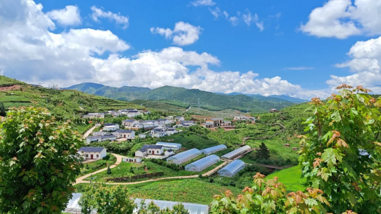 6686体育电气荣获2024年中央单位定点帮扶事情效果审核评价最高等次“好”-6686体育