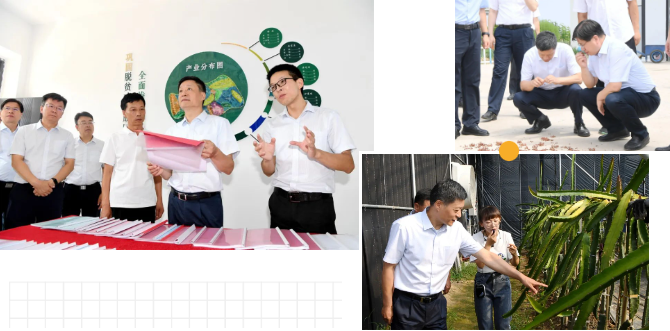 俞培根赴山西吉县开展调研 扎实推动定点帮扶事情再上新台阶-6686体育