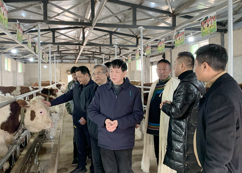 张继烈率队到昭觉开展定点帮扶事情调研-6686体育